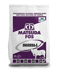 Matsuda For Engorda-S