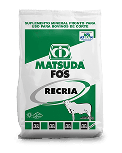 Matsuda Fós Recria