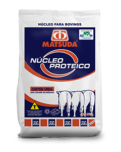 Matsuda Nucleo Proteico