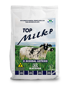 Matsuda Top Milk P