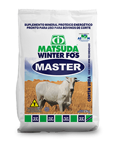 Matsuda Winter Fós Master